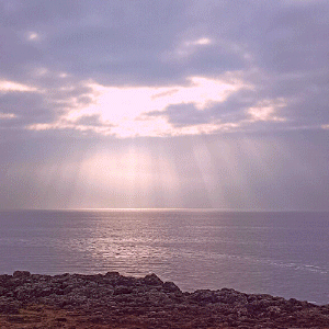 a-fleur-de-vie-soins-energetiques