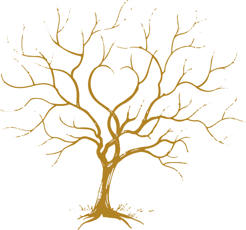 arbre-ateliers-de-groupes-echanges-stephanie-dimeet